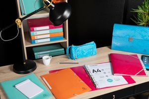 Exacompta Maïa ringbinders with different spine widths and mechanism types; 3-flap folders, filing boxes and 3-flap multipart files, each with elastic straps; expanding files with clip-closure; colours: orange, magenta, light green, blue.