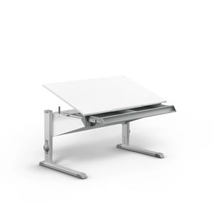 moll easy Bandit / Sprinter, children's and youth desk line; surface: melamine resin coating, powder-coated base frame.
