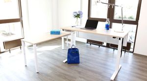 REISS Office furniture; desks (height adjustable): Eco N2 2.2, Arito, Avaro, Avaro P, Trailo T 2.2; surface: melamine coated