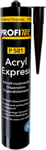 ProfiTec Acryl Express P581