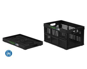 Faltbox (Green Box)