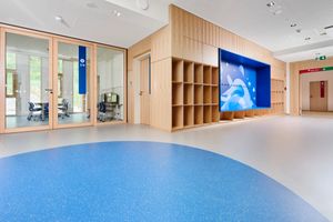 noraplan 913 Designvarianten: noraplan linee, noraplan lona, noraplan valua, noraplan degree, noraplan eco, noraplan sentica, noraplan signa / environcare, noraplan stone, noraplan unita, noraplan mega, noraplan plus, noraplan effect, noraplan grip, noraplan® convia