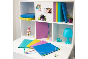 EXACOMPTA Büro- und Ordnungsartikel: Forever® recycled PP, Forever® Young recycled PP, Maïa, Bee Blue, Forever® recycled PP grau Register