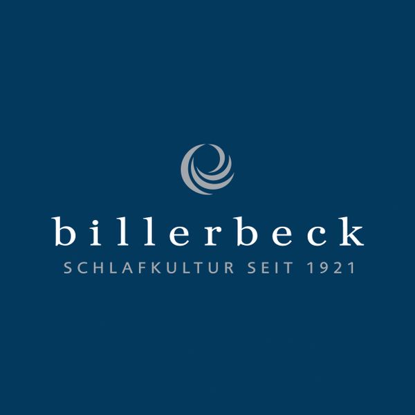 E14 Engel Greta® Blauer | billerbeck Daunendecke/Kopfkissen