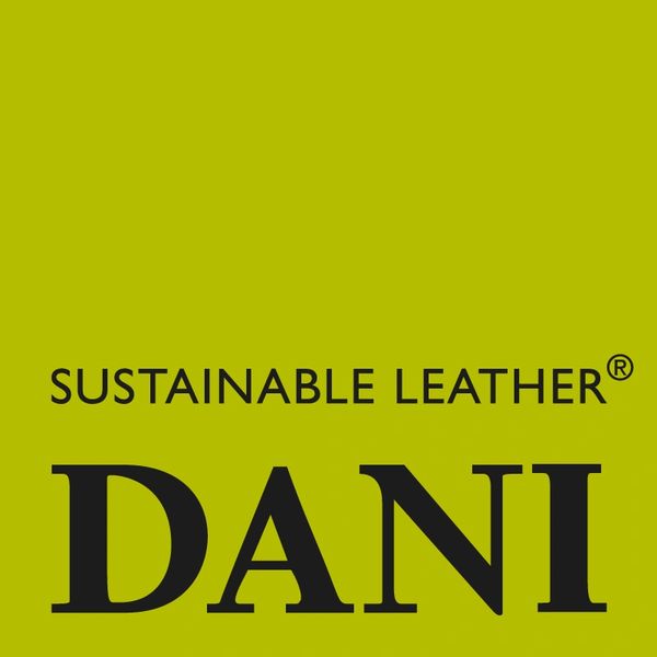 Logo Dani S.p.A.