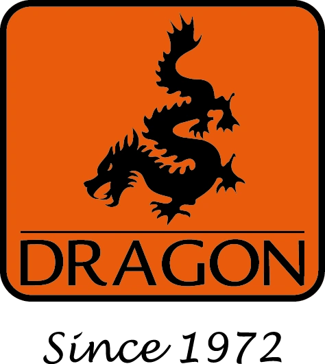 Logo Dragon Poland