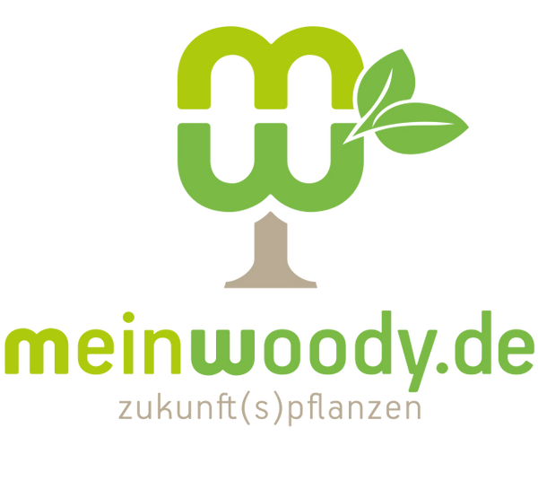Logo Evolutio UG - meinwoody