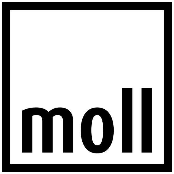 Logo moll  Funktionsmöbel GmbH  